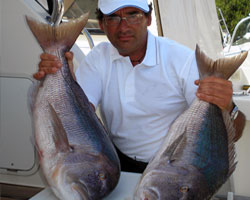 Giuliano Berilli - Dentici