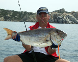 Giuliano Berilli - Dentice